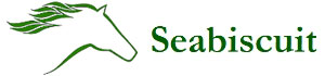 Seabiscuit Enery Solutions P Ltd