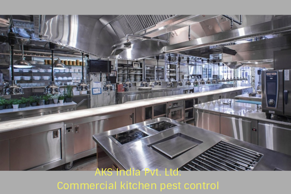 Commercial kitchen pest control